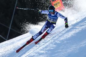 SPORT INVERNALI - Sci Alpino - FIS Alpine World Ski Championships - Men's SuperG