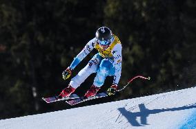 Johnson Wins World Downhill Title After 14-Month Ban - Salzburg