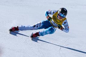 Johnson Wins World Downhill Title After 14-Month Ban - Salzburg