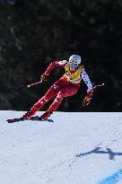 Johnson Wins World Downhill Title After 14-Month Ban - Salzburg