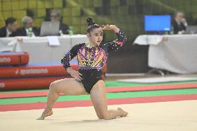 ALTRO - Ginnastica - Serie A Artistic Gymnastics