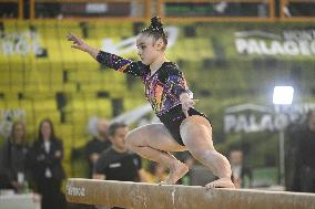 ALTRO - Ginnastica - Serie A Artistic Gymnastics