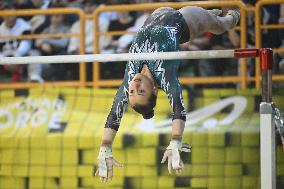 ALTRO - Ginnastica - Serie A Artistic Gymnastics