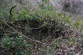 Schoolgirl Found Dead In A Wood - Essonne