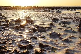 Cold Wave Hit Qingdao