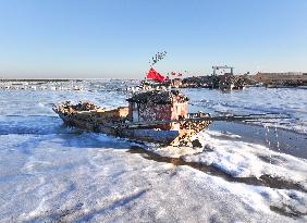 Cold Wave Hit Lianyungang