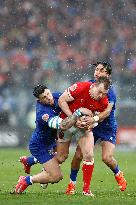 Italy v Wales - Guinness Six Nations 2025