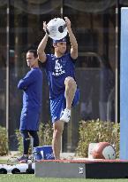 Baseball: Shohei Ohtani