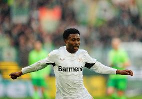 VfL Wolfsburg and Bayer Leverkusen - 1. Bundesliga