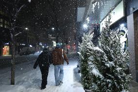 Overnight Snowfall In Toronto