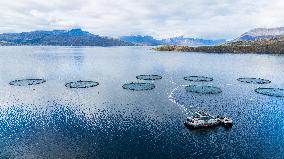 Drone View of Salmon Farming Facility in a Norwegian Fjord