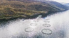 Drone View of Salmon Farming Facility in a Norwegian Fjord