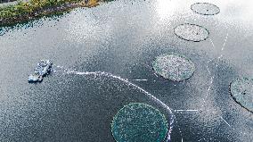 Drone View of Salmon Farming Facility in a Norwegian Fjord