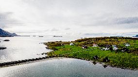 Drone View of Waterfall and Autumn Foliage Near Myrland, Norway