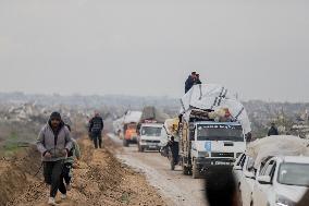 Displaced Palestinians Cross the Netzarim Corridor - Gaza