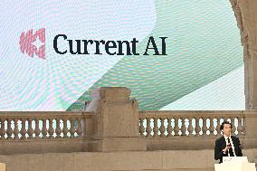 Artificial Intelligence AI Action Summit - Paris