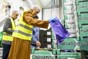 Queen Maxima On A Working Visit - Diemen