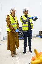Queen Maxima On A Working Visit - Diemen