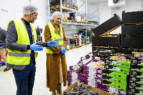 Queen Maxima On A Working Visit - Diemen