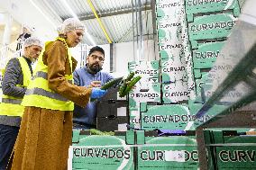 Queen Maxima On A Working Visit - Diemen