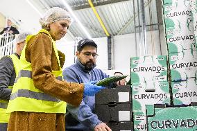 Queen Maxima On A Working Visit - Diemen