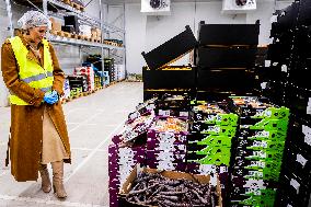 Queen Maxima On A Working Visit - Diemen