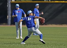 Baseball: Chicago Cubs pitcher Imanaga