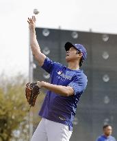 Baseball: Shohei Ohtani