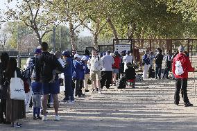 Baseball: MLB spring training