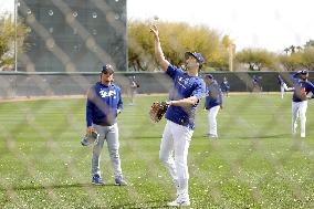 Baseball: Shohei Ohtani