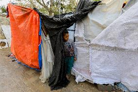 Displaced Families Suffer from Bad Weather in Camps - Gaza