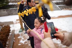 2025 Namsangol Jeongwol Daeboreum ‘Blueprint’ Festival Held In Seoul