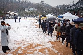 2025 Namsangol Jeongwol Daeboreum ‘Blueprint’ Festival Held In Seoul