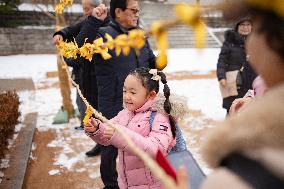 2025 Namsangol Jeongwol Daeboreum ‘Blueprint’ Festival Held In Seoul