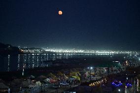 Ongoing Maha Kumbh Mela Festival In Prayagraj, India