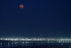 Ongoing Maha Kumbh Mela Festival In Prayagraj, India