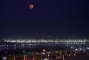 Ongoing Maha Kumbh Mela Festival In Prayagraj, India