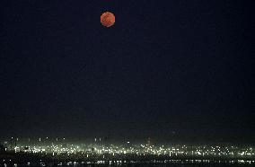 Ongoing Maha Kumbh Mela Festival In Prayagraj, India