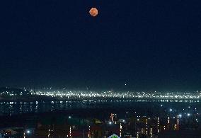 Ongoing Maha Kumbh Mela Festival In Prayagraj, India