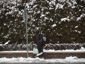 Snow Storm In New York