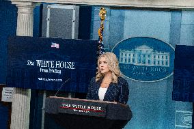 White House Press Briefing By  Press Secretary  Karoline Leavitt