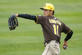 Baseball: MLB spring training