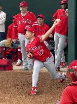 Baseball: MLB spring training