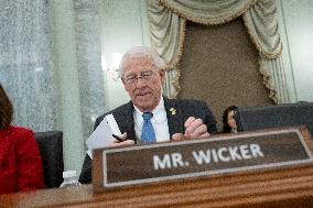 US Senate Hearing on Greenland