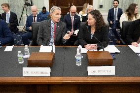 US Senate Hearing on Greenland