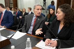 US Senate Hearing on Greenland