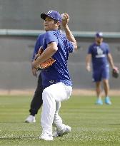 Baseball: Shohei Ohtani