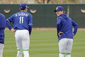 Baseball: MLB spring training