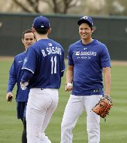 Baseball: MLB spring training