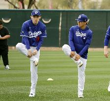 Baseball: MLB spring training